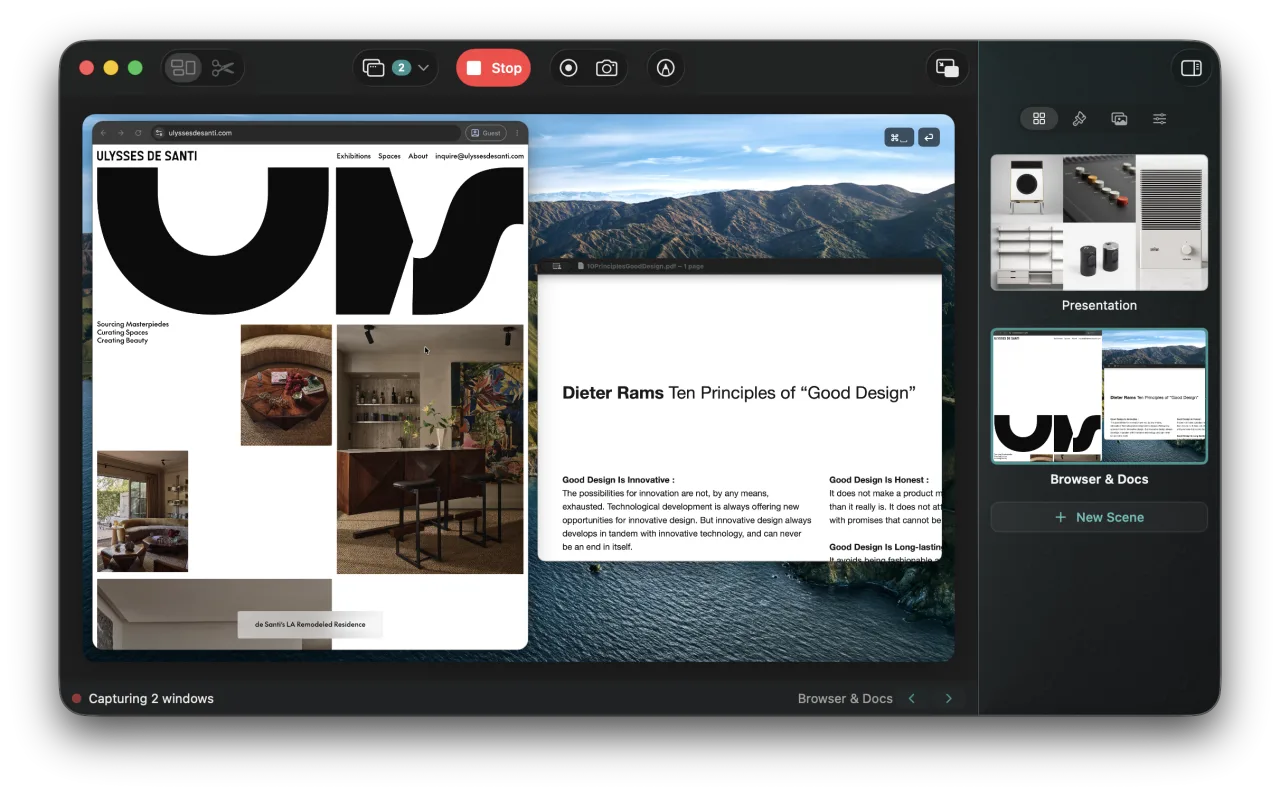 The Sel main window capturing two windows into a scene, with the scene list in the sidebar